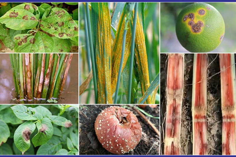 Symposium ALERT!! 18-20 Nov 2025